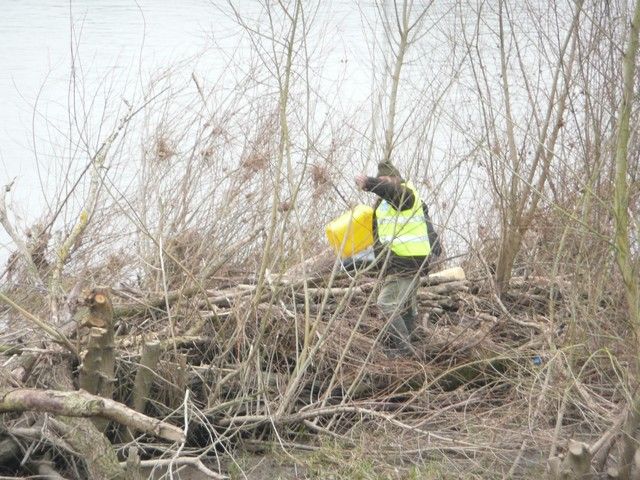 Loire propre 2013 (17).jpg